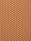 Scalamandre Ceramic M1 Mangue Fabric