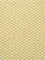 Scalamandre Ceramic M1 Citron Fabric