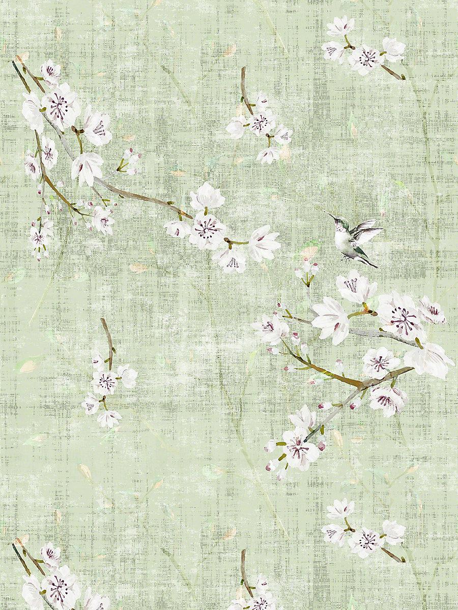 Scalamandre Blossom Fantasia | Sheer Celadon Fabric