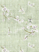 Scalamandre Blossom Fantasia | Sheer Celadon Fabric