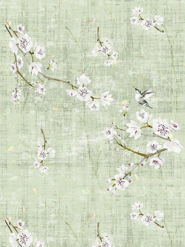 Scalamandre Blossom Fantasia | Sheer Celadon Fabric