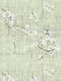 Scalamandre Blossom Fantasia | Sheer Celadon Fabric