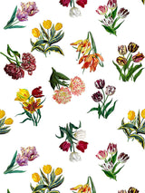 Scalamandre Etudes De Fleurs Brights Fabric