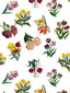 Scalamandre Etudes De Fleurs Brights Fabric