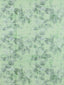 Scalamandre Rose Trellis Printed Velvet Green Fabric