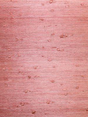 Scalamandre Heavy Tightweave Jute Red Wallpaper