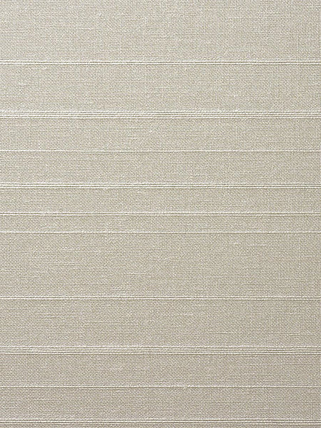 Scalamandre Linea Metallic Wallcovering Pebble Wallpaper