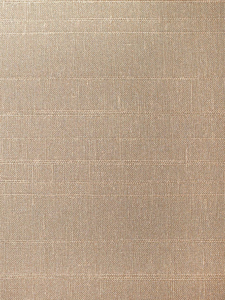 Scalamandre Linea Metallic Wallcovering Hazelnut Wallpaper