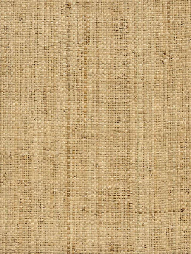 Scalamandre Imerina | Reed Large Cloves Wallpaper