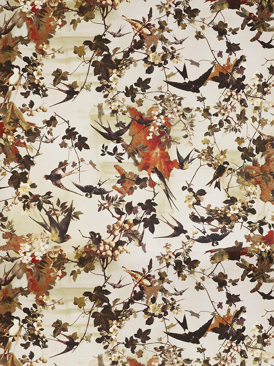 Scalamandre Hirondelles Printemps Wallpaper