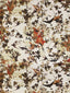 Scalamandre Hirondelles Printemps Wallpaper