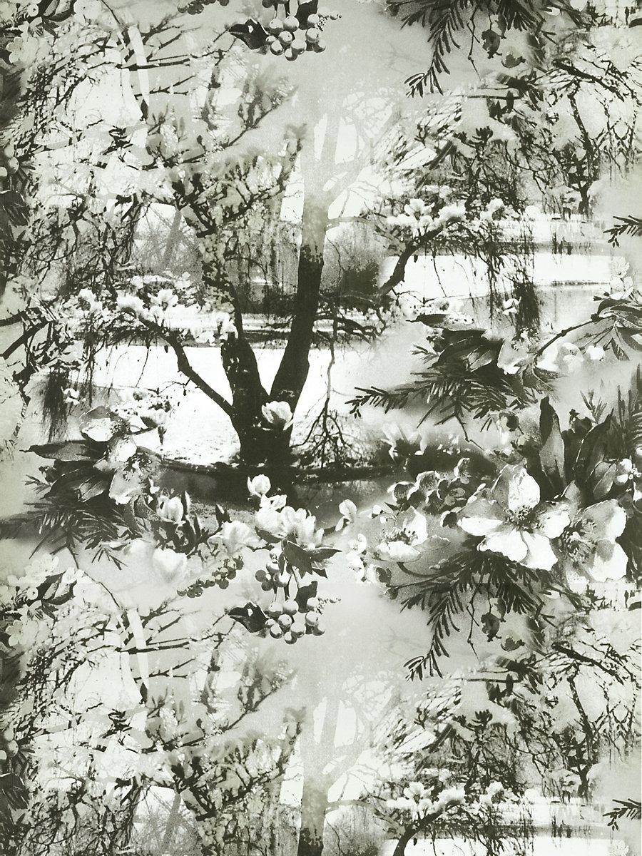Scalamandre Brume Ecru/Noir Wallpaper