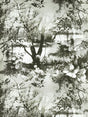 Scalamandre Brume Ecru/Noir Wallpaper