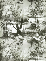 Scalamandre Brume Ecru/Noir Wallpaper