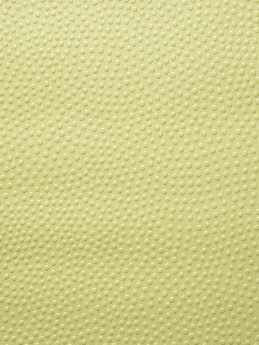 Scalamandre Embosse Jaune Wallpaper