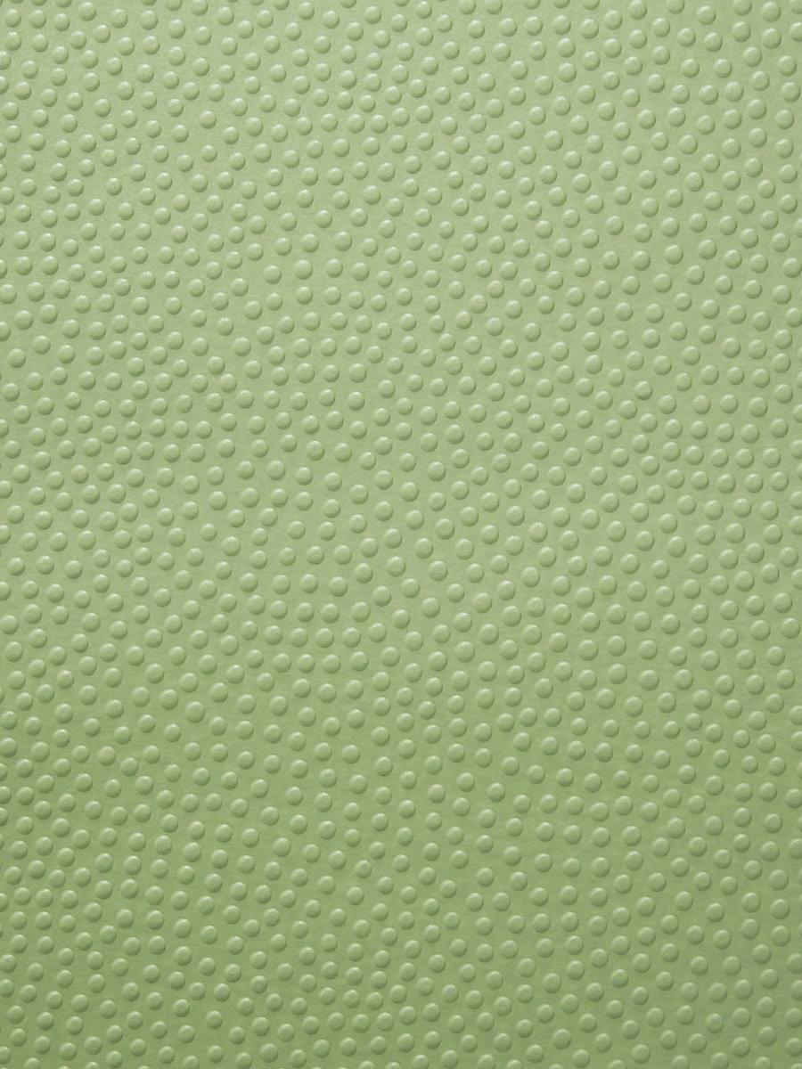Scalamandre Embosse Vert Wallpaper