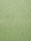 Scalamandre Embosse Vert Wallpaper