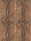 Scalamandre Precieux Cuivre Wallpaper