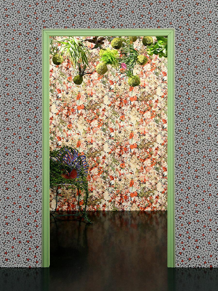 Scalamandre Coquelicot Rouge Wallpaper