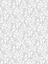 Scalamandre Ressemblance Ivoire Noir Wallpaper
