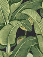 Hinson Hinson Palm Absinthe Wallpaper