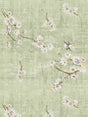 Scalamandre Blossom Fantasia Celadon Wallpaper