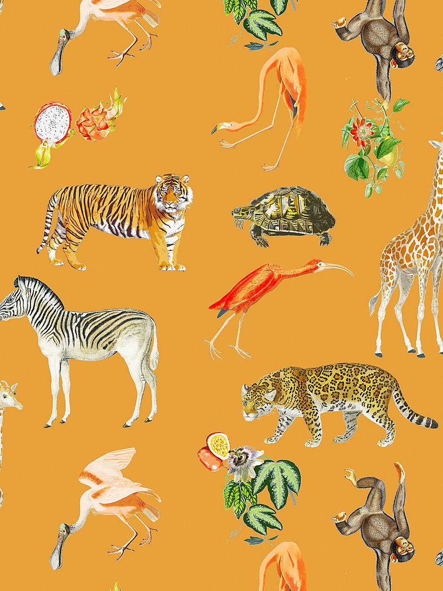 Scalamandre Exotix Tangerine Wallpaper