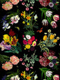 Scalamandre Flora & Fauna Black Wallpaper