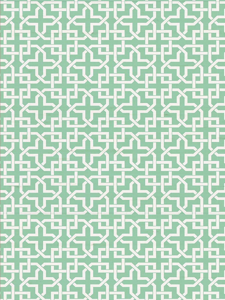 Scalamandre Infinity Life Wallpaper