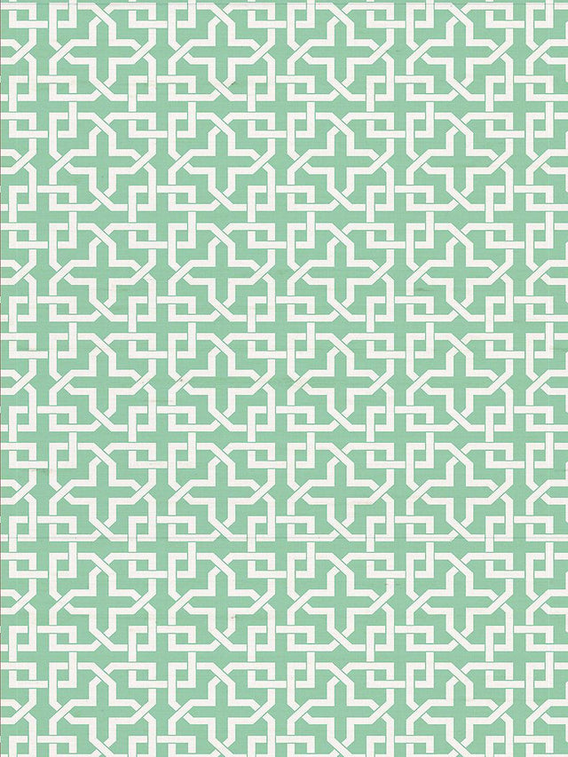 Scalamandre Infinity Life Wallpaper