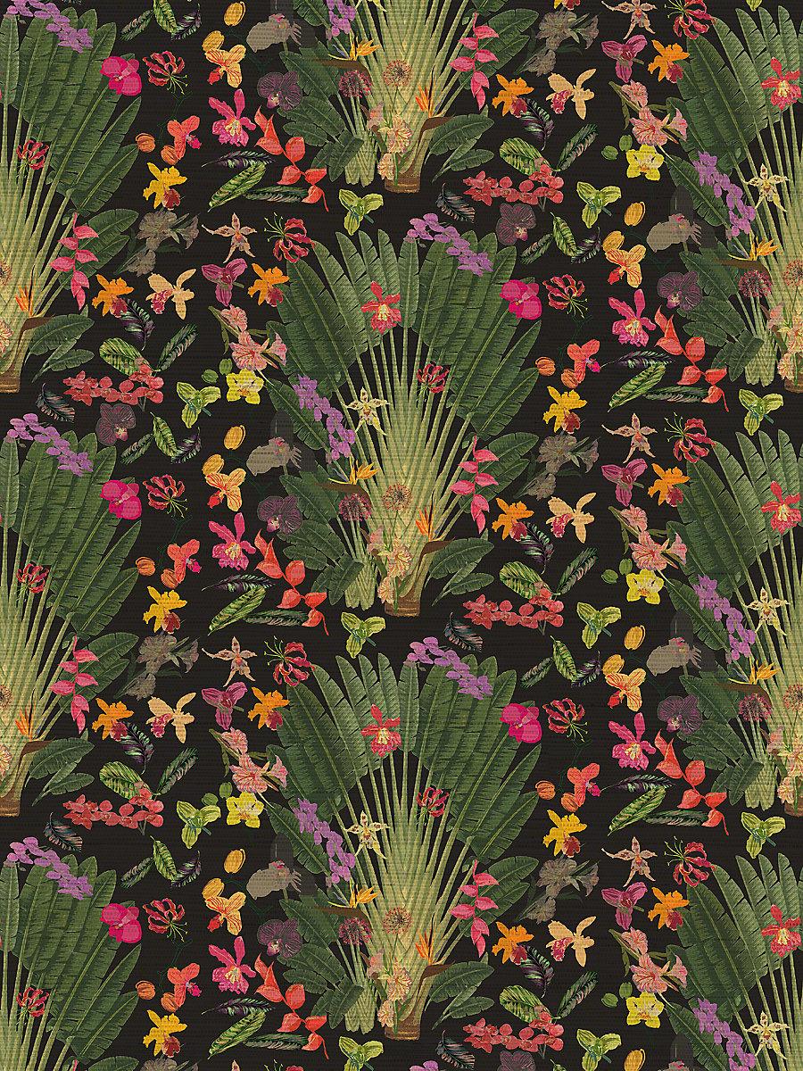 Scalamandre Fantasy Tropical Black Wallpaper