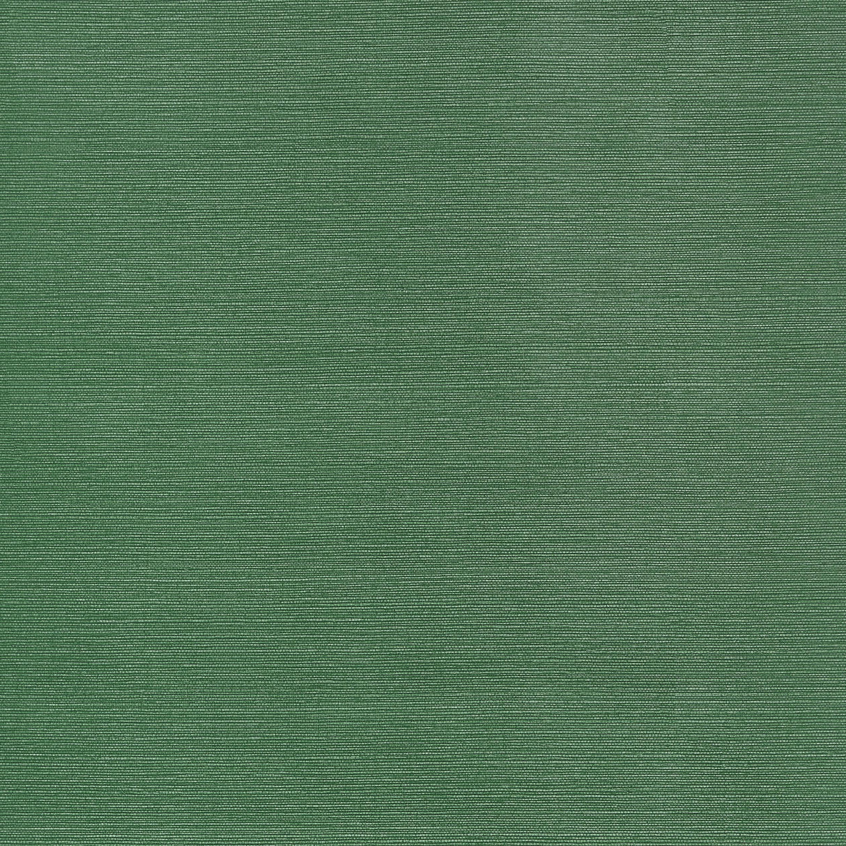 Thibaut Taluk Sisal Forest Green Wallpaper