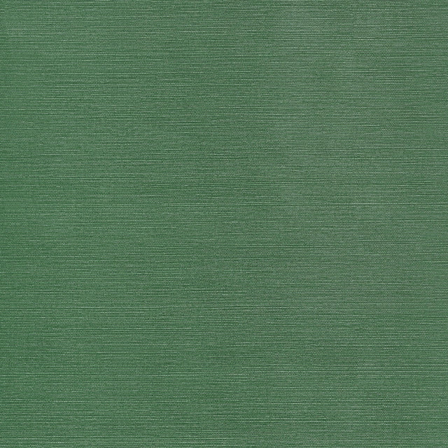 Thibaut Taluk Sisal Forest Green Wallpaper