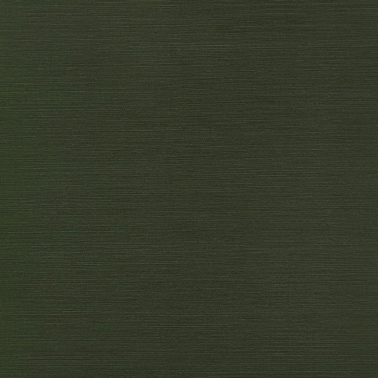 Thibaut Taluk Sisal Olive Wallpaper
