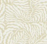 York Wallcoverings Fern Fronds Light Green & White Wallpaper