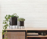 York Wallcoverings Fountain Grass Ivory Wallpaper
