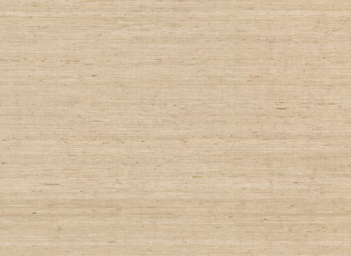 York Wallcoverings Cream Arrowroot Wallpaper