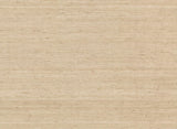 York Wallcoverings Cream Arrowroot Wallpaper