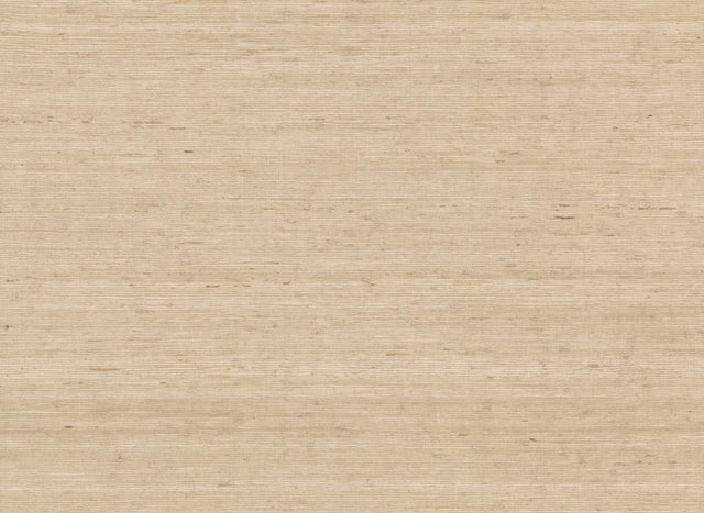 York Wallcoverings Cream Arrowroot Wallpaper