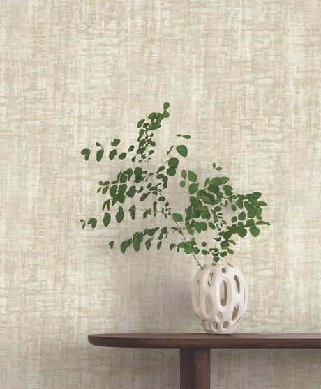 York Wallcoverings Monteverde Buff Wallpaper