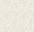 York Wallcoverings Dew Drop Beige Wallpaper
