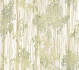 York Wallcoverings Aspen Grove Green Wallpaper