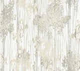 York Wallcoverings Aspen Grove Grey Wallpaper