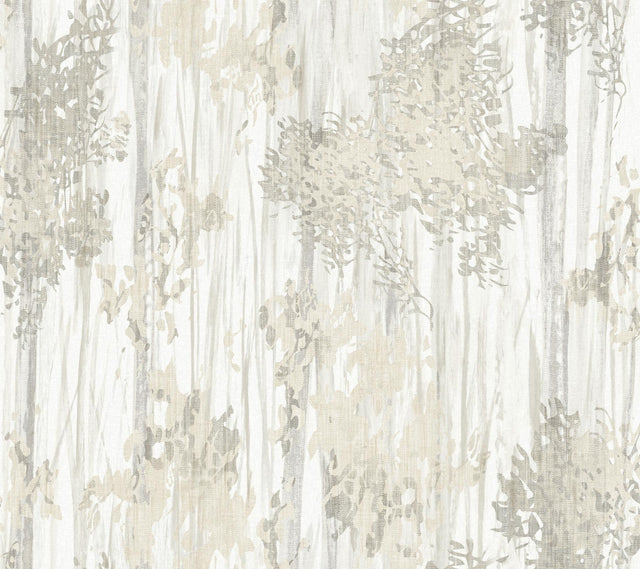 York Wallcoverings Aspen Grove Grey Wallpaper