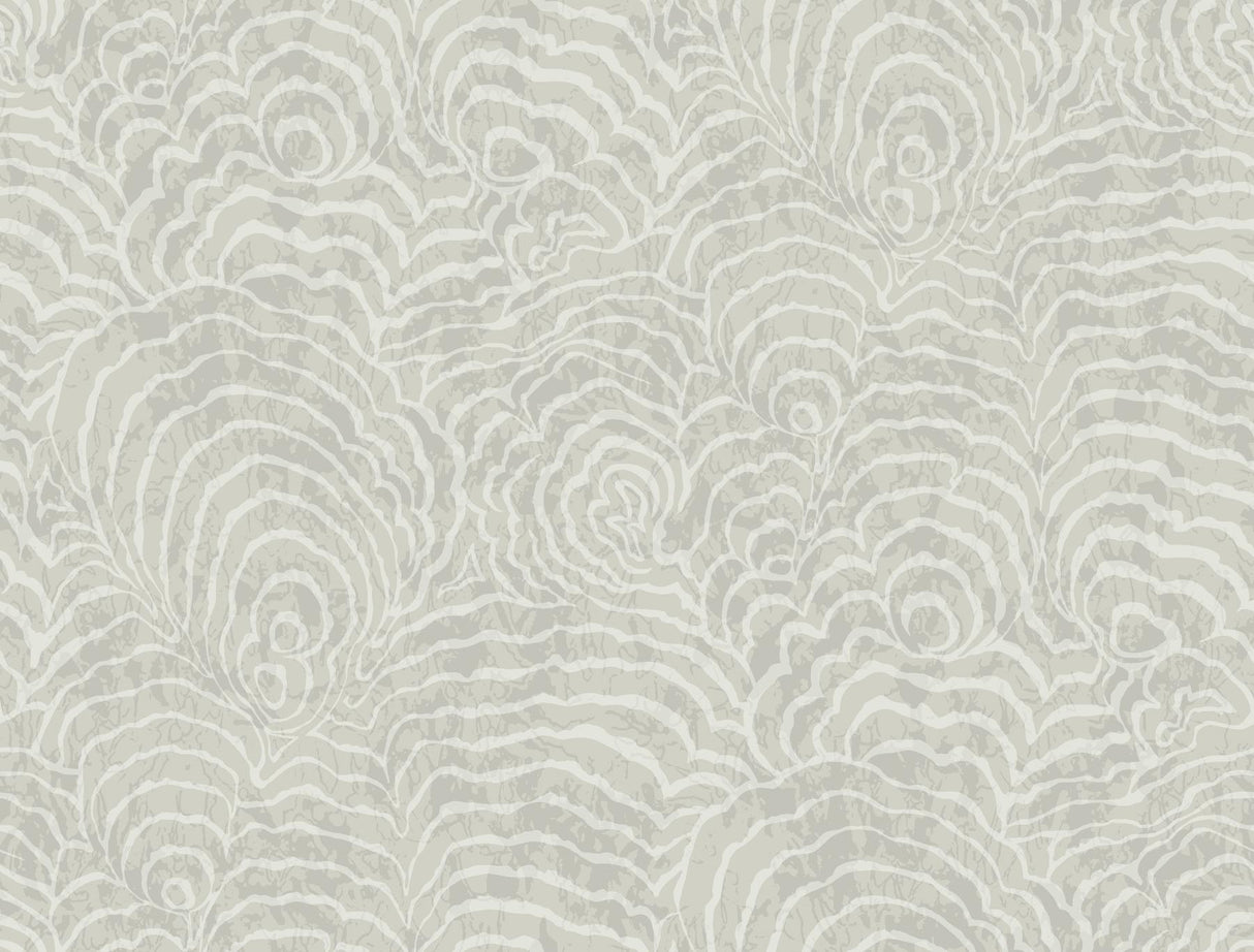 York Wallcoverings Ocean Jasper Grey Wallpaper