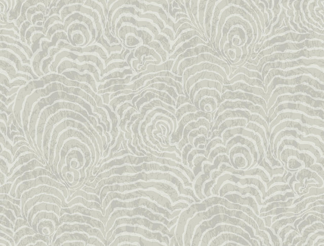 York Wallcoverings Ocean Jasper Grey Wallpaper
