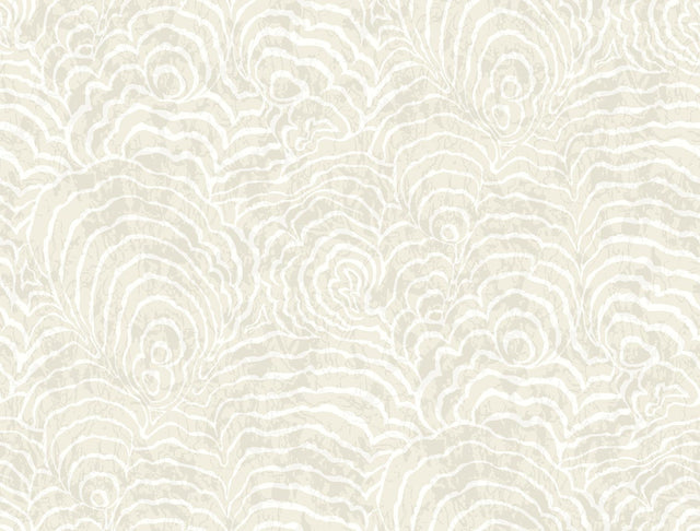 York Wallcoverings Ocean Jasper White Wallpaper
