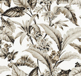 Ronald Redding Designs Mystic Isle Neutral Wallpaper