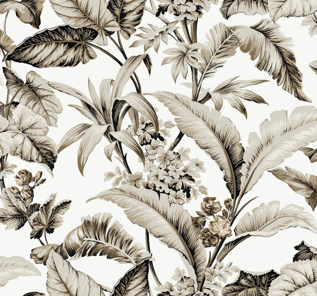 Ronald Redding Designs Mystic Isle Neutral Wallpaper