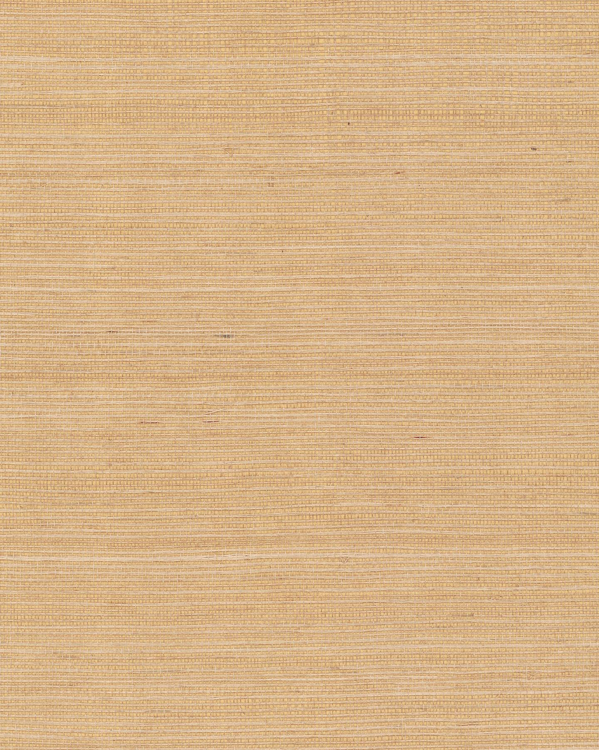 Ronald Redding Designs Maguey Sisal Biscotti Wallpaper